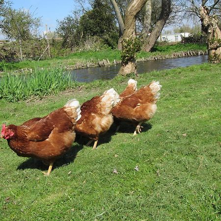 Bed&Brood De Straverdonk Graft Εξωτερικό φωτογραφία